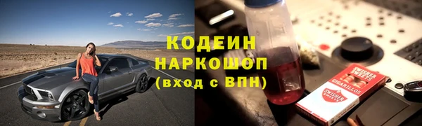 ПСИЛОЦИБИНОВЫЕ ГРИБЫ Вязники