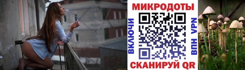 Галлюциногенные грибы GOLDEN TEACHER  Купить закладки  Ковылкино 